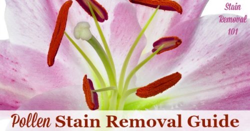 Step by step instructions for pollen stain removal from clothing, upholstery and carpet so you can enjoy your flowers without fear of a mess {on Stain Removal 101}
