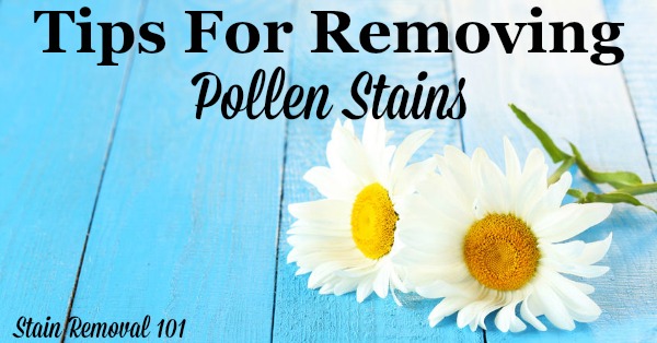 Here is a round up of tips for how to remove pollen stains from many types of items in and around your home, including clothes, carpet, hard surfaces and more {from Stain Removal 101} #StainRemoval #RemoveStains #RemovingStains