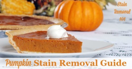 Pumpkin stain removal guide for clothing, upholstery and carpet, with step by step instructions {on Stain Removal 101}