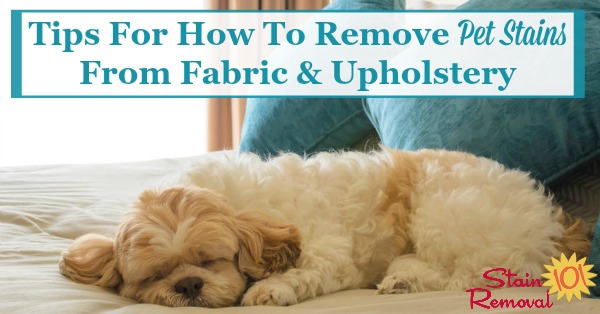 Here is a round up of tips for how to remove pet stain from fabrics and upholstery, including both home remedies and do it yourself methods, as well as reviews of various pet stain remover products {courtesy of Stain Removal 101} #CleaningTips #PetStains #StainRemoval