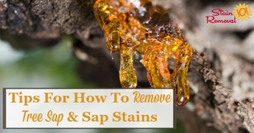 Here is a round up of sap stain removal tips and hints for how to remove tree sap from various surfaces, including from clothing, upholstery, carpet, cars, hands, and more surfaces in and around your home {on Stain Removal 101}