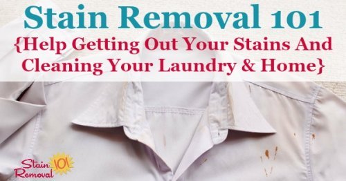 Stain Removal 101: Busy Mom's Guide For Cleaning, Laundry, And Stains