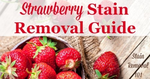 Strawberry stain removal guide for clothing, upholstery and carpet, with step by step instructions {on Stain Removal 101}