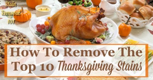 How to remove the top 10 Thanksgiving stains {on Stain Removal 101}