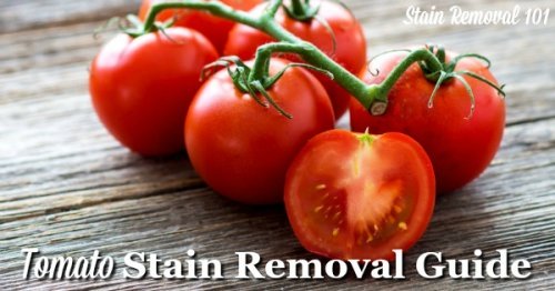 How to remove tomato stains of all varieties, including paste, sauce, soup, and juice, from clothing, upholstery, carpet and more, with step by step instructions {on Stain Removal 101}