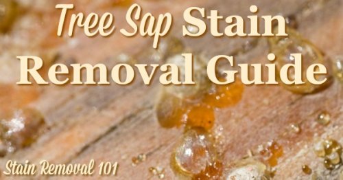 Tree sap stain removal guide, with step by step instructions, for clothing, upholstery, carpet, plus hard surfaces like your car {on Stain Removal 101}