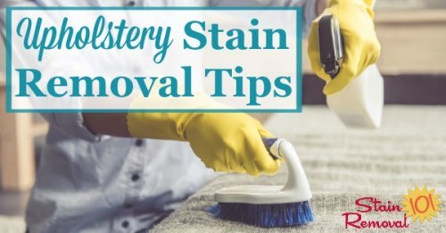 Here are upholstery stain removal tips for various types of stains, such as food and drink, berry, and grease and oil {on Stain Removal 101} #StainRemoval #UpholsteryCleaning #UpholsteryStains