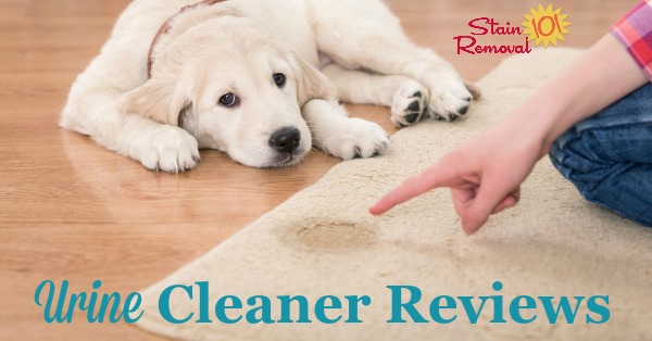 Here is a round up of reviews of urine cleaner and urine stain removers, to clean up both smells and stains on a variety of surfaces including on carpet, mattresses, clothes, and more {on Stain Removal 101}