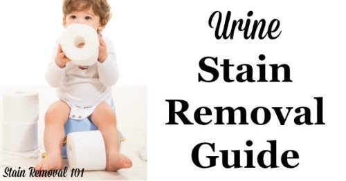 Urine stain removal guide to help you with those little (or big) accidents, with step by step instructions for clothes, upholstery, carpet, and mattresses {on Stain Removal 101}