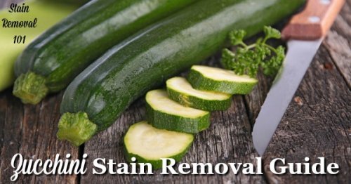 Zucchini stain removal guide, with step by step instructions for removing these stains from clothing, upholstery and carpet {on Stain Removal 101}