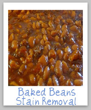 How to remove baked beans stains from clothing, upholstery and carpet, with step by step instructions {on Stain Removal 101}