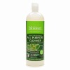 biokleen all purpose cleaner