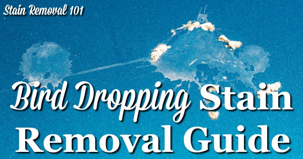 Step by step instructions for bird dropping stain removal from clothing, upholstery and carpet, plus hard surfaces {on Stain Removal 101}