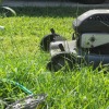 mowing lawn