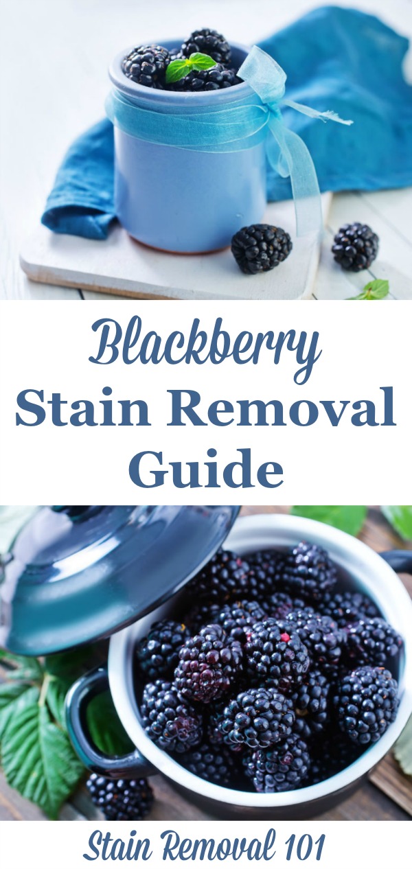Blackberry stain removal guide for clothing, upholstery and carpet {on Stain Removal 101}