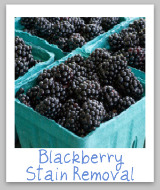 stain removal blackberries