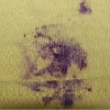 blackberry stains