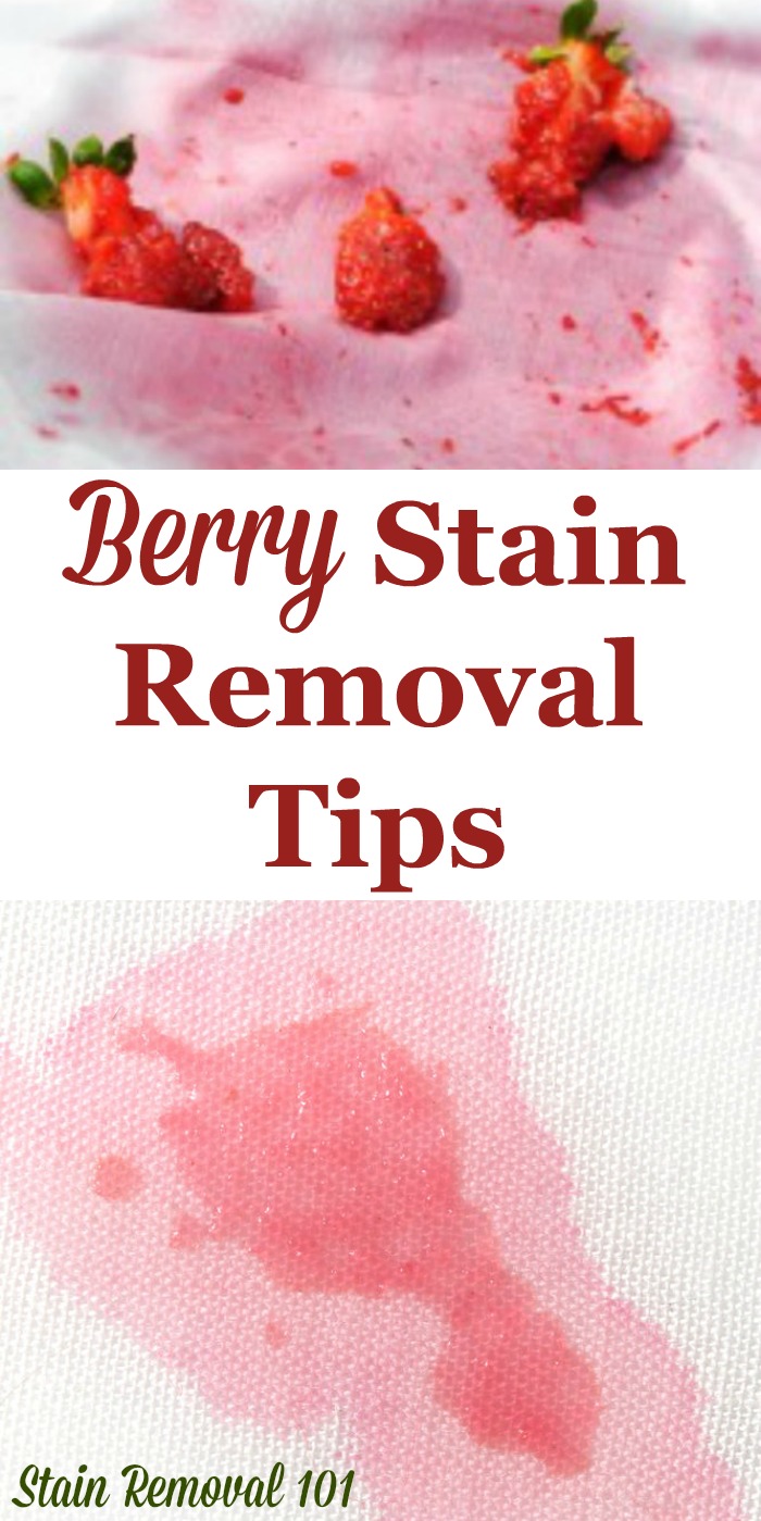 Here is a round up of berry stain removal tips, tricks and home remedies which really work to remove these stubborn spots, caused by a multitude of different berries, from all types of surfaces {on Stain Removal 101} #StainRemoval #RemoveStains #RemovingStains