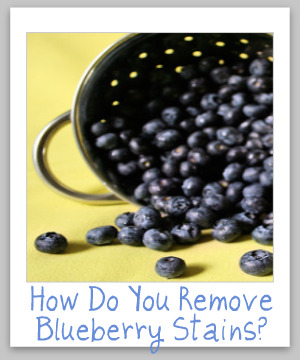 blue berry stain removal