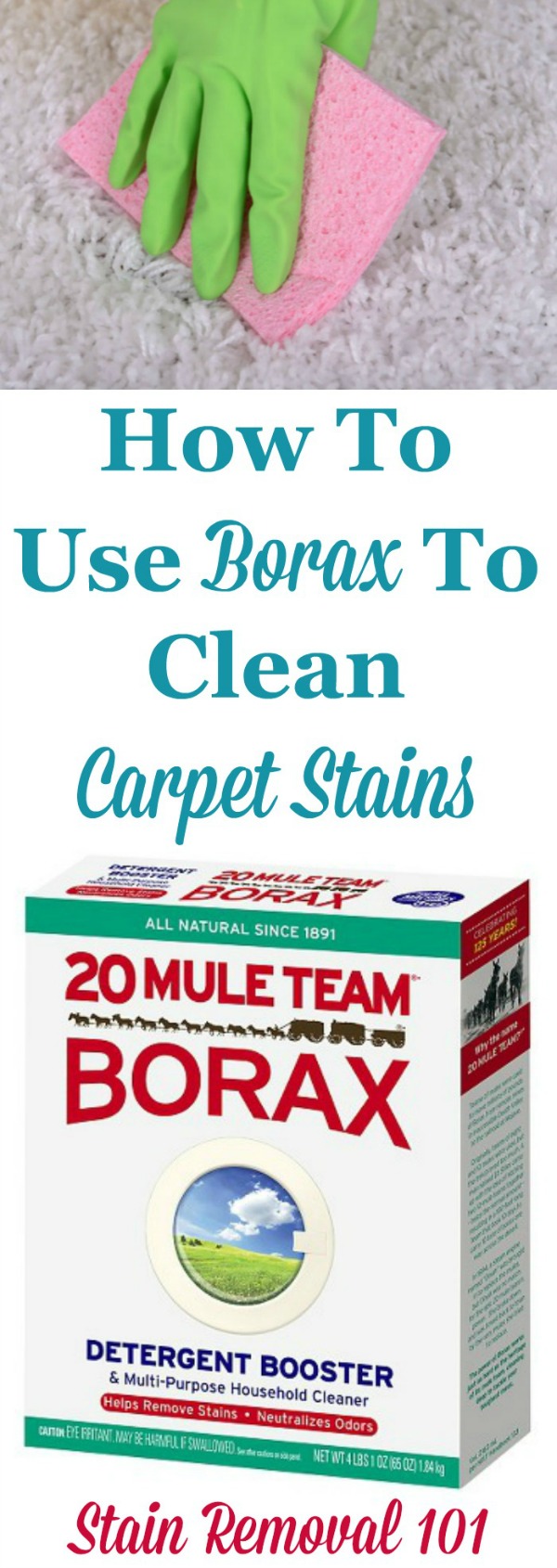 How to use borax to clean and remove stains from your carpet {on Stain Removal 101}