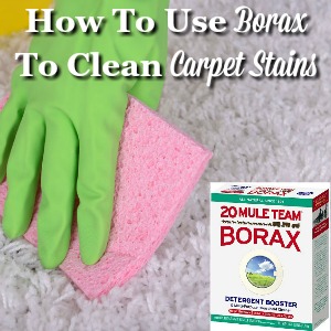 how to use borax to clean carpet stains