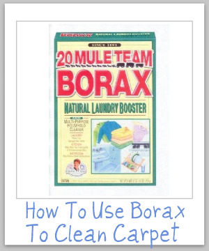 How to use borax to clean and remove stains from your carpet {on Stain Removal 101}