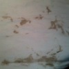 brown mystery stains from washing machine