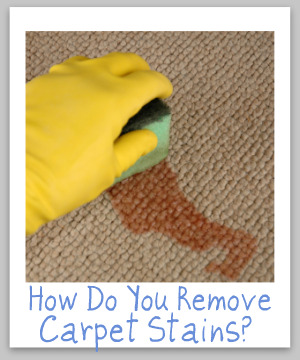 Roundup of over 30 articles all about carpet stain removal based on the type of stain, so no matter what spilled on your carpeting you can remove it {on Stain Removal 101}