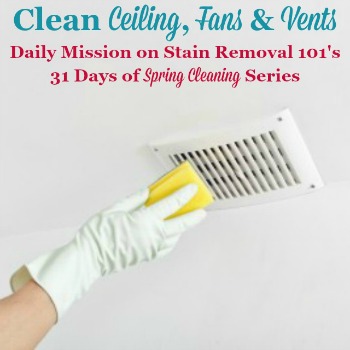 Clean ceiling, fans and vents