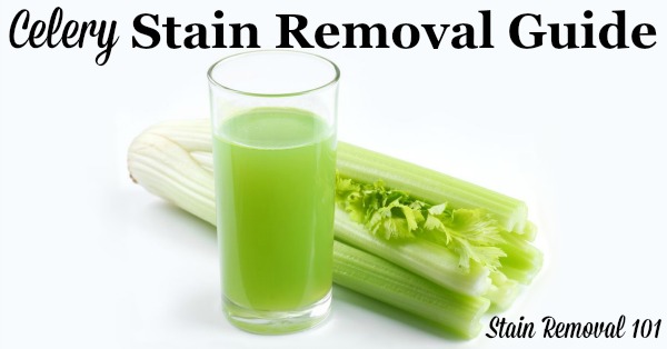 Step by step instructions for celery juice stain removal from clothing, upholstery and carpet {on Stain Removal 101}