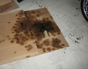 oil drips on garage floor
