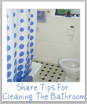 Share your tips for cleaning the bathroom {on Stain Removal 101}