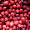 cranberries