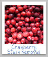 cranberry juice stain removal