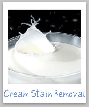 Step by step instructions for how to remove cream stains on clothing, upholstery and carpet, which can come in really handy when you spill something on yourself that contains creamy sauces {on Stain Removal 101}