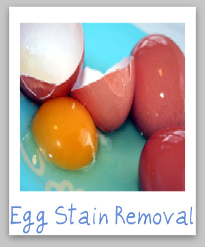 Step by step instructions for how to remove egg stains from clothing, upholstery, carpet, your floor and your car {on Stain Removal 101}