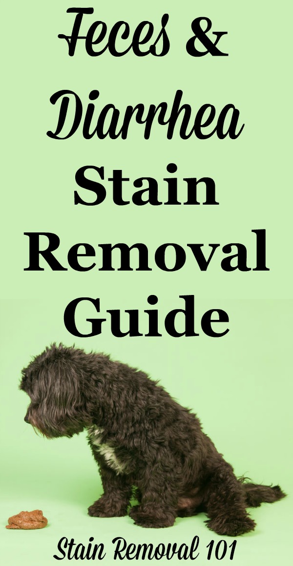 Feces stain removal and diarrhea stain removal guide, for all kinds of yucky accidents on clothing, upholstery and carpet {on Stain Removal 101}