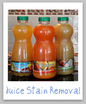 Step by step instructions for how to remove vegetable and fruit juice stains from clothing, upholstery and carpet {on Stain Removal 101}
