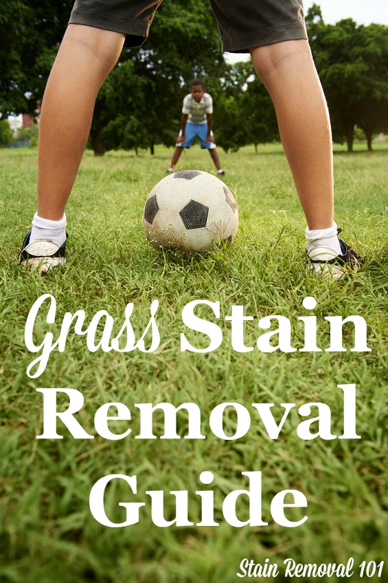 How to remove grass stains from clothing, upholstery and carpet with step by step instructions {on Stain Removal 101}