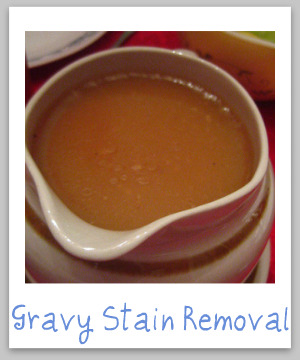 Gravy stain removal instructions for clothing, upholstery and carpet {on Stain Removal 101}