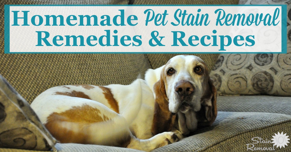 Here is a round up of homemade pet stain removal remedies and recipes that will help you clean up pet stains easily, with items you've already got around your home {on Stain Removal 101} #HomemadeStainRemoval #PetStains #HomemadeRemedies
