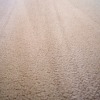 clean carpet