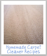 homemade carpet cleaner