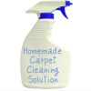 homemade carpet cleaning solution