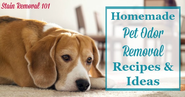 Lots of homemade pet odor removal recipes and ideas to enjoy your pets and your home at the same time {on Stain Removal 101}