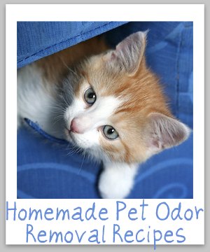 Lots of homemade pet odor removal recipes and ideas to enjoy your pets and your home at the same time {on Stain Removal 101}