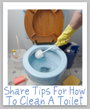 how to clean a toilet