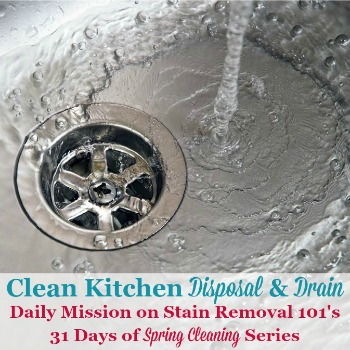 clean kitchen disposal and drain