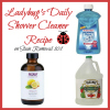 daily shower cleaner recipe