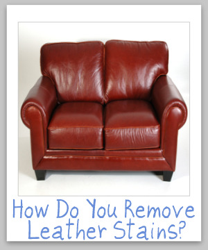 Leather Stain Removal & Cleaning Tips And Hints